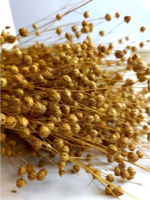 Лен натуральный, пучок 60г, 60 колосьев, h 60-70см