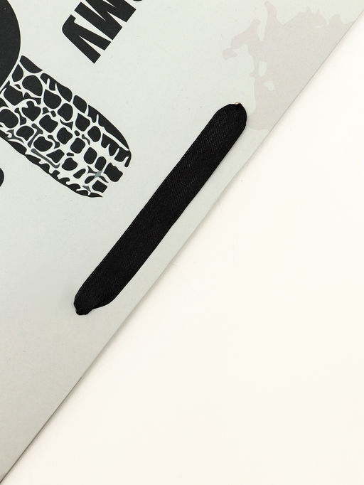 Пакет подарочный вертикальный Самому смелому, 31?40?14 см