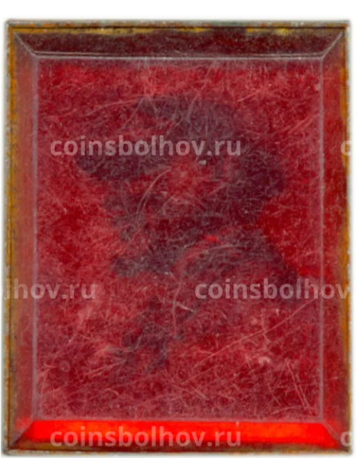 Значок В.И. Ленин