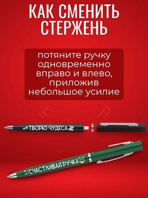 Набор подарочных ручек с надписями nika-ручки-для-школьника-24 - Sergio valentini фото 3