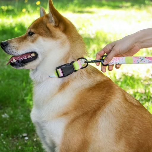 Поводок Сочное настроение, 2.5 см, 1.5 м - Пушистое счастье фото 11