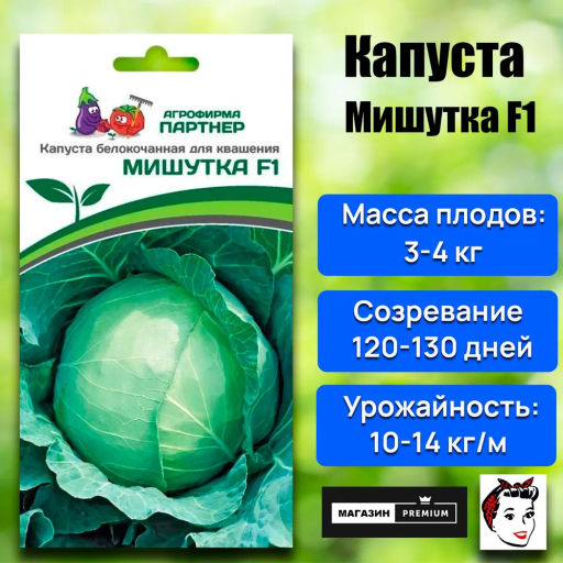 Капуста белокочанная среднепоздняя Мишутка - Партнер фото 8