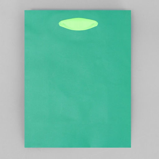 Цена за 2 шт. Пакет подарочный двухцветный, упаковка, «Зеленый-салатовый», S 12 х 15 х 5.5 см