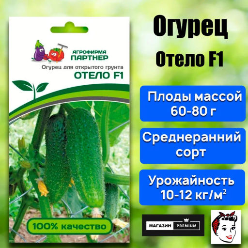 Огурец пчелоопыляемый Отело - Партнер фото 2