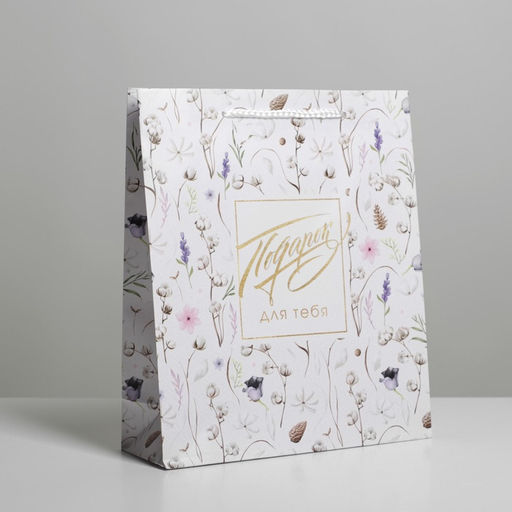 Пакет подарочный ламинированный, упаковка, Gift for you, ML 21 х 25 х 8 см