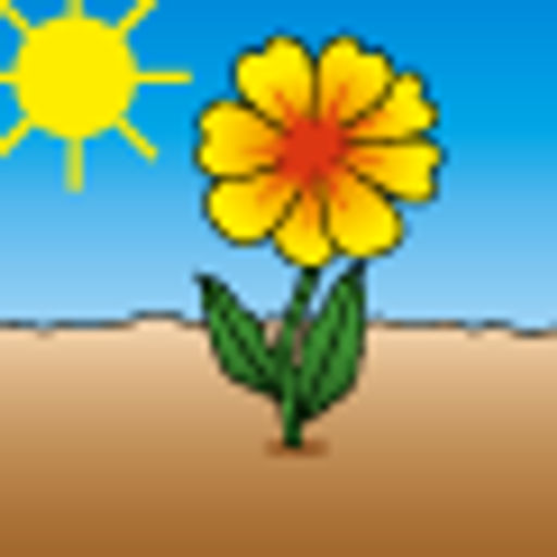 Астра Версаль пионовидная (2029