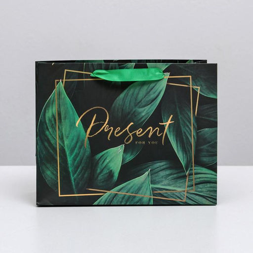 Цена за 2 шт. Пакет подарочный ламинированный, упаковка, Present for you, S 15 х 12 х 5.5 см