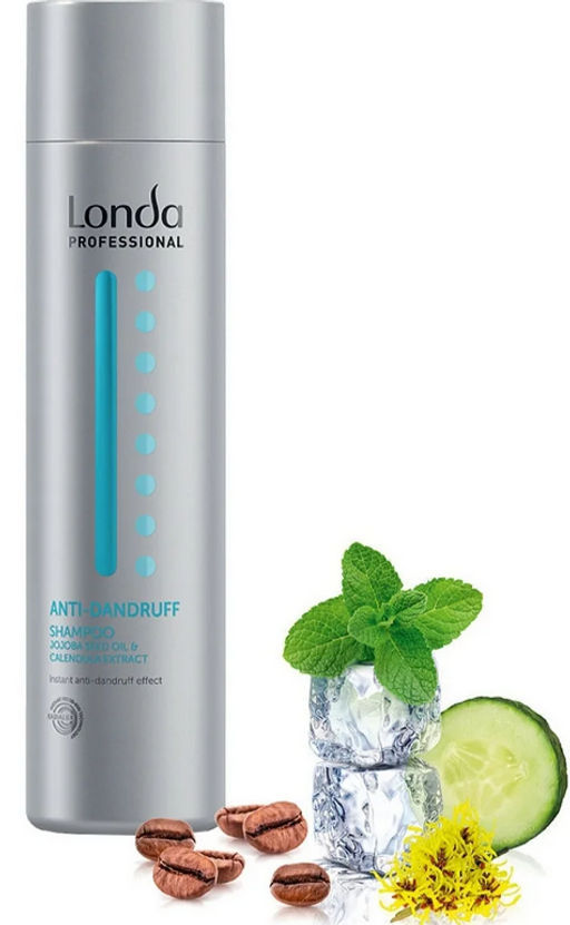 -19% Шампунь против перхоти Scalp Anti Dandruff, 250 мл Londa