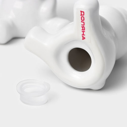 Набор для специй Доляна «Стильный мишка», 2 предмета: солонка 30 мл, перечница 30 мл, белый