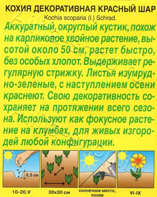 Кохия Красный шар 0,1г (Аэлита)