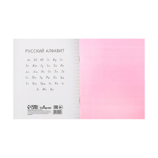 Цена за 10 шт. Тетрадь 12 листов линейку, Calligrata «Красная», пластиковая обложка