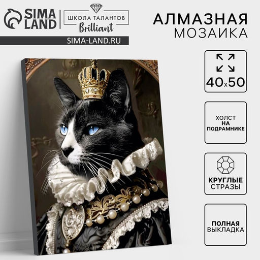 Алмазная мозаика с полным заполнением на холсте с подрамником «Мусье кот», 40×50 см