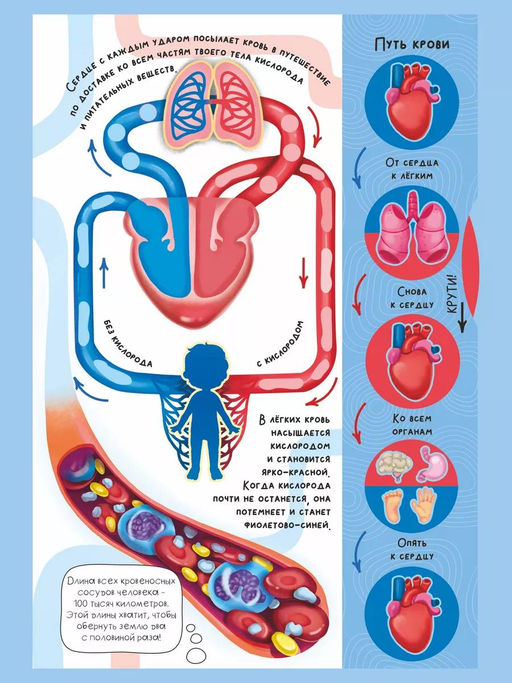 Интерактивная энциклопедия. Знакомься: твое тело - BimBiMon фото 9