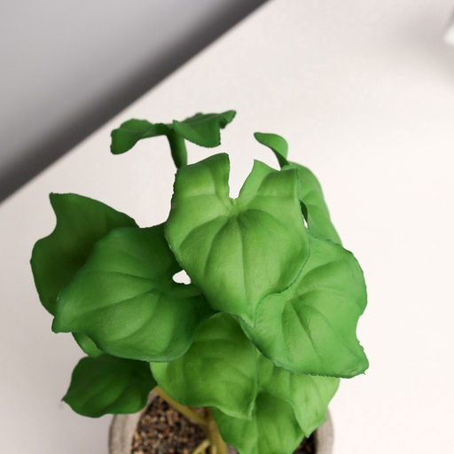 Искусственный цветок в горшке Филодендрон селло элит (мягкий лист), 14?6 см, МИКС