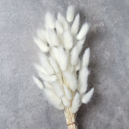 Сухоцвет 60 штук набор 68 см Лагурус / SG-005 /уп 300/белый - Галеонтрейд фото 3