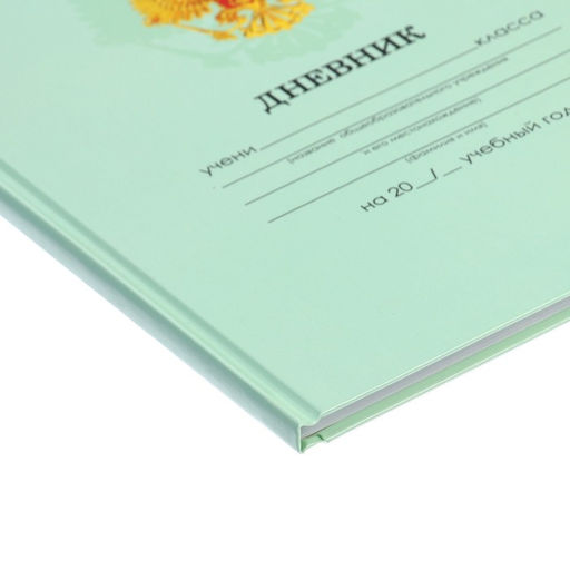 Цена за 2 шт. Дневник школьный для 1-11 классов, «Зелёный нежный однотонный», твёрдая обложка 7БЦ, глянцевая ламинация, 40 листов
