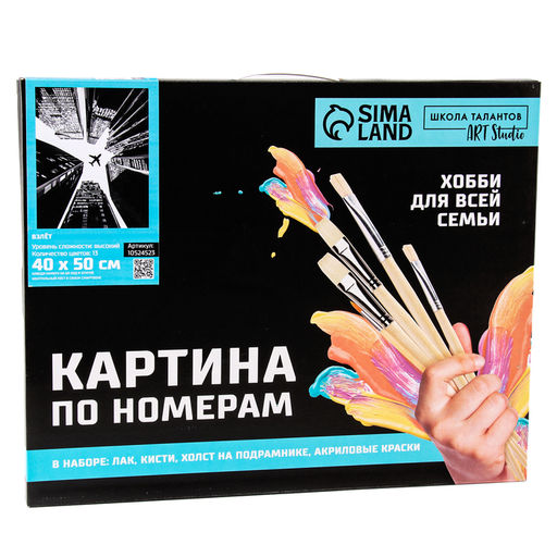 Картина по номерам «Взлёт», на холсте с подрамником, 40×50 см