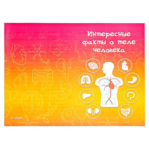 Уценка Набор для опытов Моё удивительное тело без пластилина