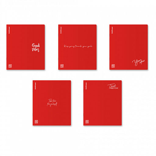 Цена за 5 шт. Тетрадь общая ученическая с пластиковой обложкой на скобе ErichKrause Words, красный, А5+, 48 листов, клетка_MIX-PACK  фото 13