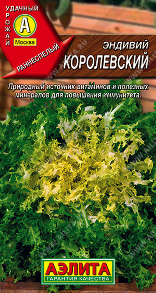 6064U Эндивий Королевский 0,5гр