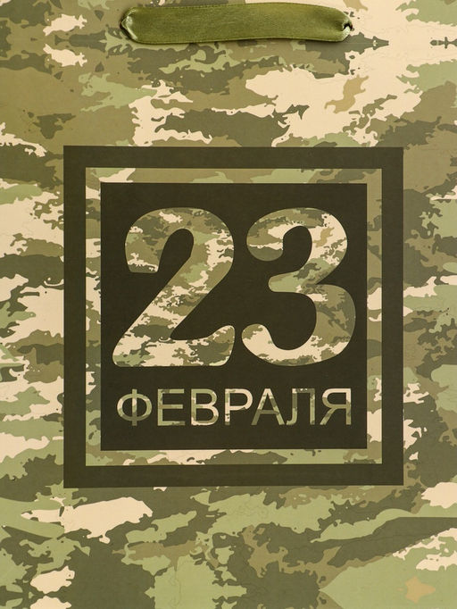 Цена за 2 шт. Пакет подарочный вертикальный 23 февраля, ML 23?27?11.5 см