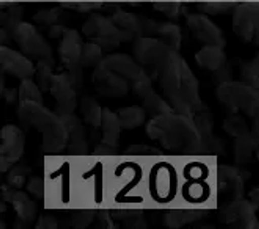 DOLPHIN LOOP HIMALAYA  фото 7