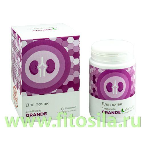 Галлерия меллонелла - МАКСИ (G.mellonella - MAXI) комплекс для глаз 60 гранул по 0,75 ЖИВА  фото 2