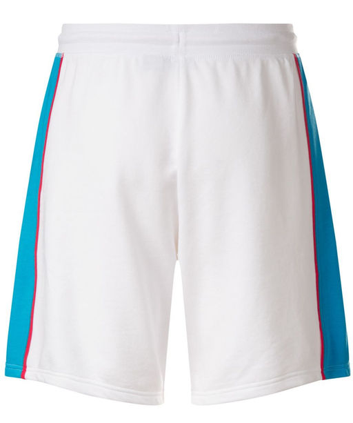 Мужские спортивные шорты Mistral