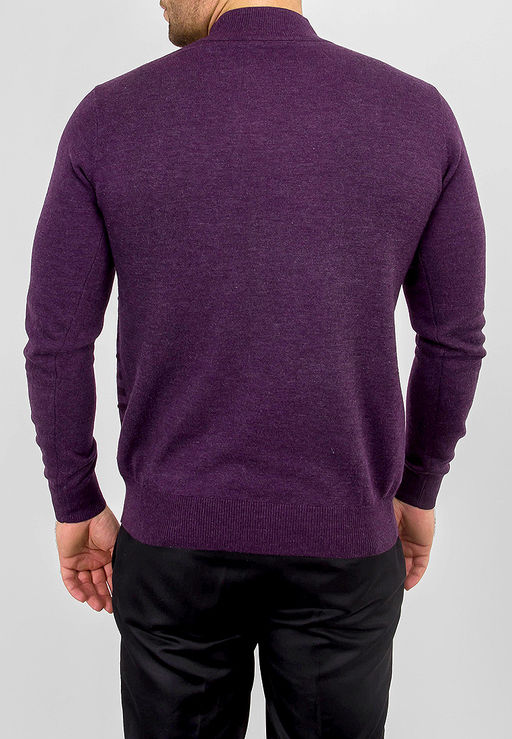 Джемпер мужской GREG G121-12-полосы (т.фиол./бордо)  фото 2