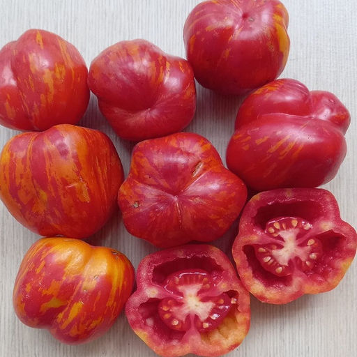 7062T Томат Полосатая пещера 10шт