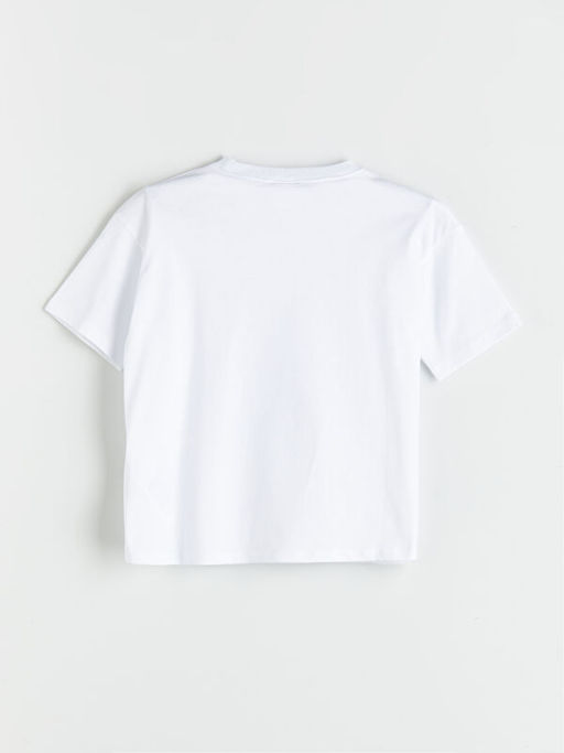 Dinozor Bask?l? Erkek ?ocuk Ti??rt