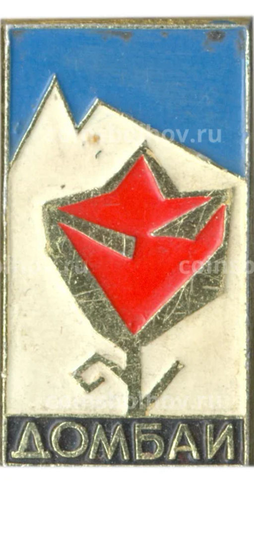 Значок Домбаи