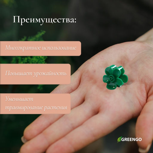 Цена за 2 шт. Клипса для растений Незабудка, набор 10 шт., зелёный, Greengo фото 2