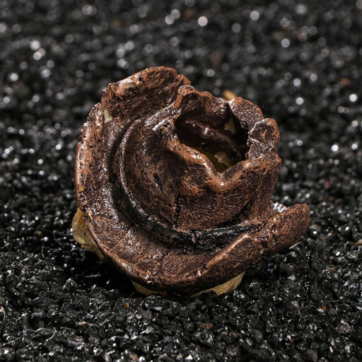 Декор для аквариума Череп, 7 х 7 х 7 см - Simaland фото 3