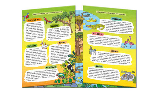 Книжка-картинка для детей. Серия Найди, покажи, узнай арт. 59042 ЖАРКИЕ СТРАНЫ - Феникс+ фото 2