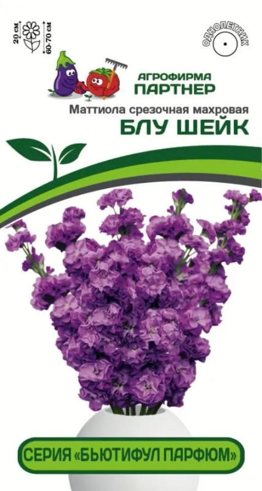 Маттиола срезочная махровая Бьютифул Парфюм Блу Шейк