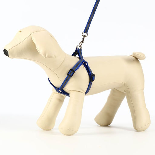 Комплект Спорт светоотражающий, поводок 120 х 1 см, ОГ 23-35 см, синий - Пижон фото 4