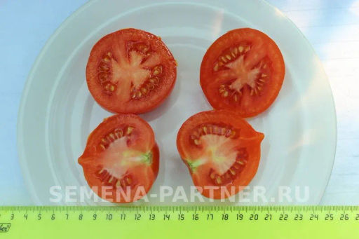 Томат Агаша - Партнер фото 3