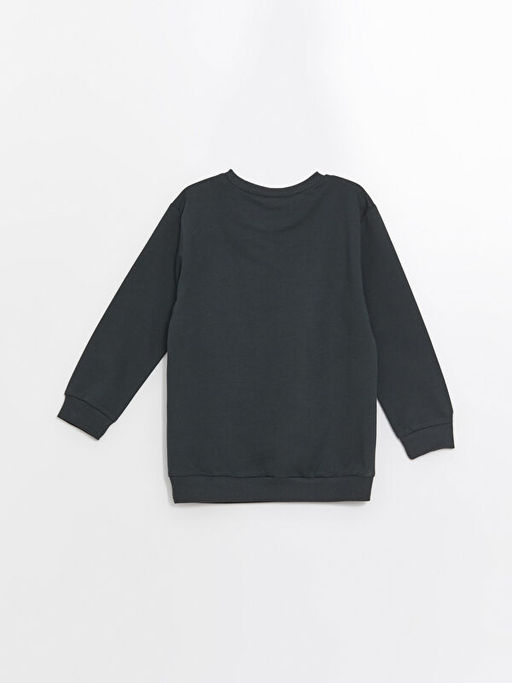 Bisiklet Yaka Bask?l? Erkek Bebek Sweatshirt - Waikiki фото 2