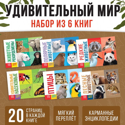 Обучающие книги набор «Удивительный мир» 6 шт. по 20 стр.
