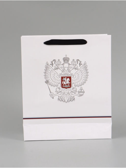 Цена за 2 шт. Пакет подарочный «Россия», 25.5×30×9 см