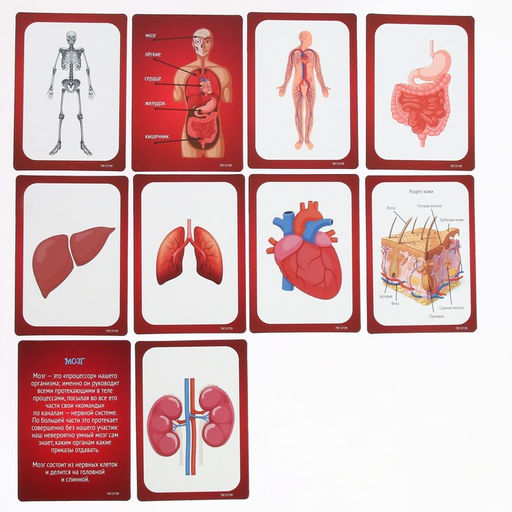 Набор для опытов Научный набор, 3в1 - Эврики фото 18
