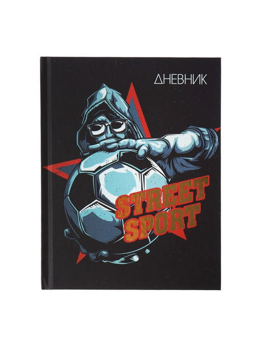 Дневник школьный для 1-11 классов, Street Sport, твёрдая обложка 7БЦ, матовая ламинация, тиснение фольгой, 40 листов