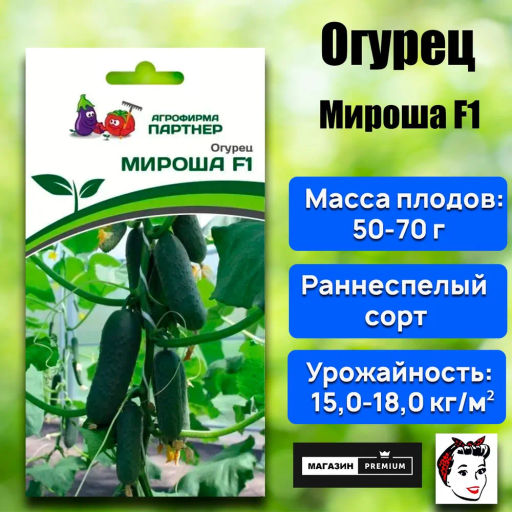 Огурец партенокарпический Мироша - Партнер фото 2