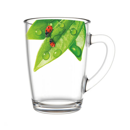 Кружка 300мл "Живая природа" в ассортименте арт. 334-Д