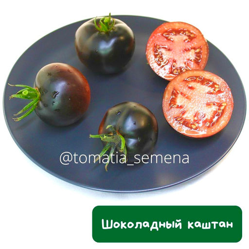 Шоколадный каштан