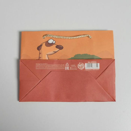 Цена за 2 шт. Пакет подарочный, упаковка, Don not worry, 14.5×19.5×8.5 см