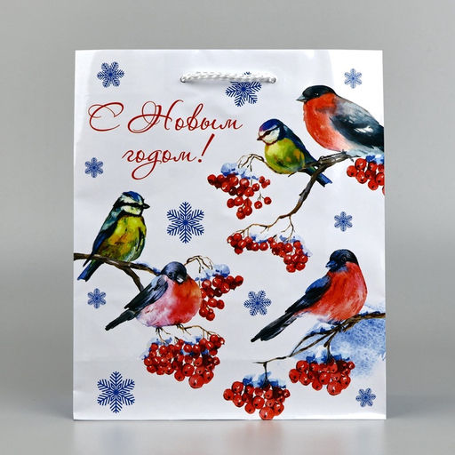 Цена за 2 шт. Пакет подарочный новогодний ламинированный «Снегири», ML 21×25×8 см