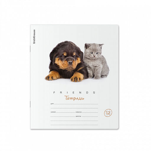 Цена за 280 шт. Тетрадь школьная ученическая ErichKrause Дружба, 12 листов, линейка (в плёнке по 10 шт.)  фото 5