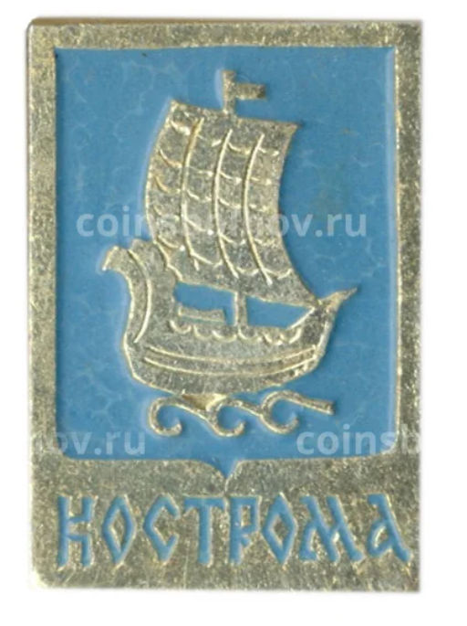 Значок Кострома